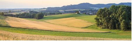 Photo of green pastures and expansive view of a distant mountain range.